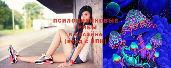 стафф Арсеньев