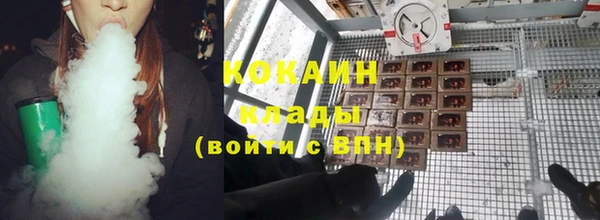 трава Аркадак